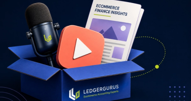 LedgerGurus ecommerce insights